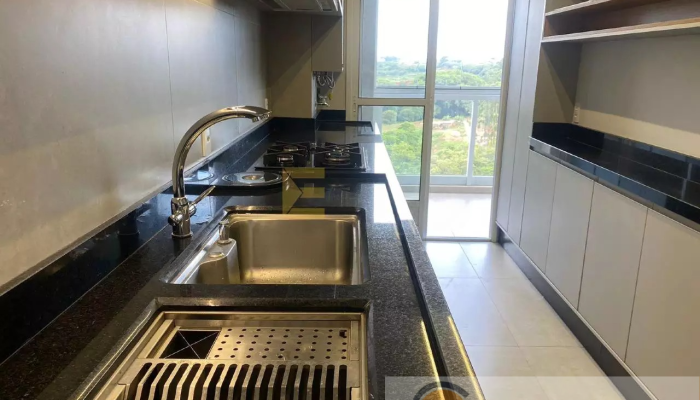 DeWatermark.ai_1742952820111